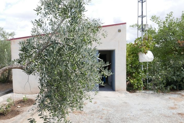 Image No.3-1 Bed Cortijo for sale