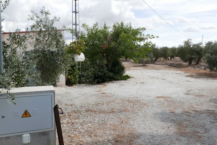 Image No.7-1 Bed Cortijo for sale