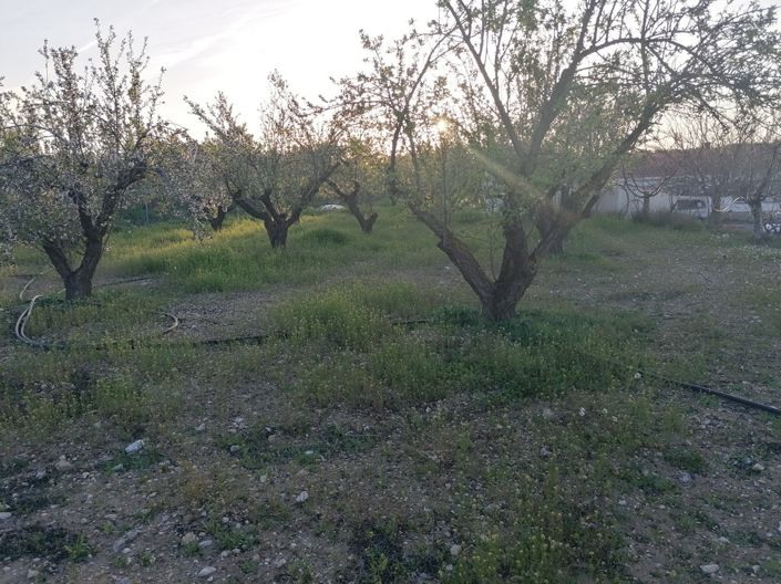 Image No.23-3 Bed Property for sale