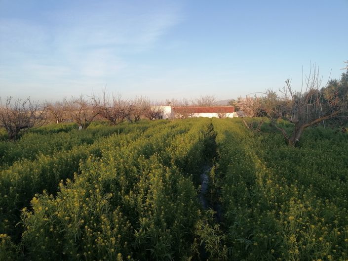 Image No.25-3 Bed Property for sale