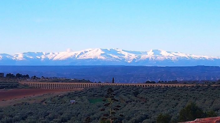 Image No.7-5 Bed Cortijo for sale