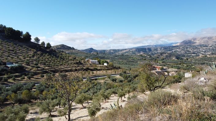 Image No.4-3 Bed Cortijo for sale