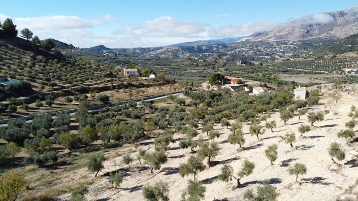 Image No.5-3 Bed Cortijo for sale