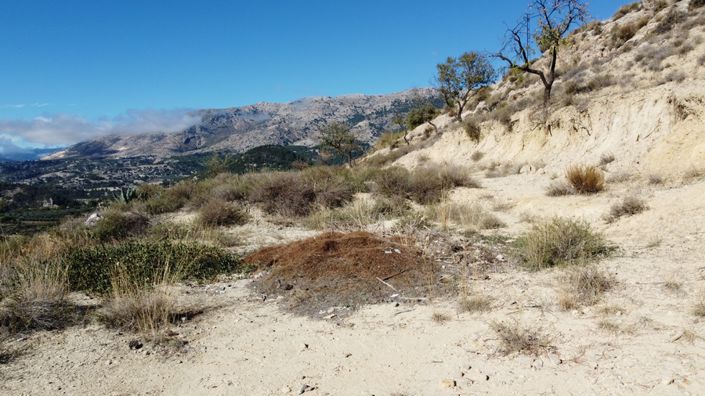 Image No.43-3 Bed Cortijo for sale