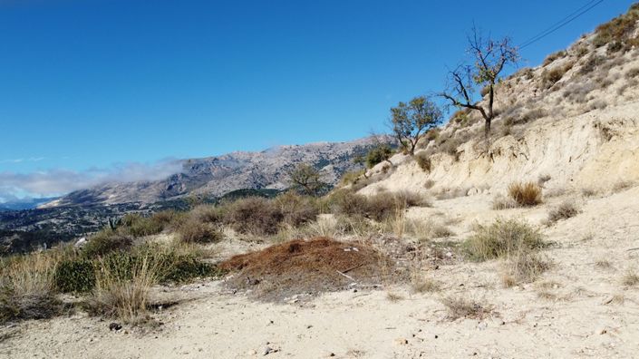 Image No.44-3 Bed Cortijo for sale