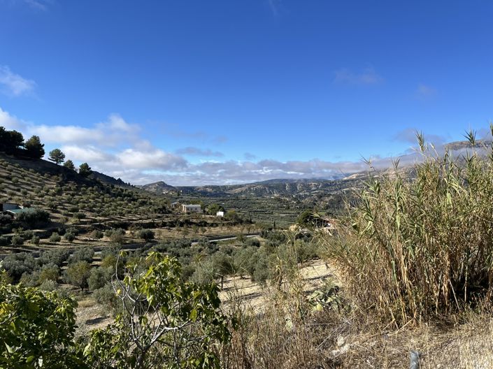 Image No.45-3 Bed Cortijo for sale