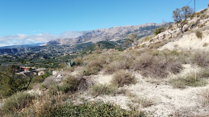 Image No.46-3 Bed Cortijo for sale