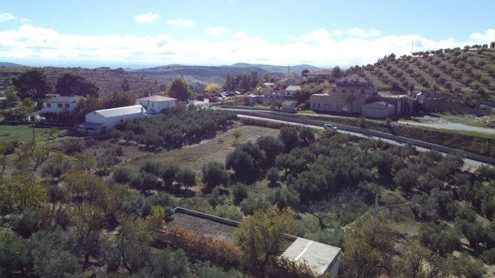 Image No.6-3 Bed Cortijo for sale