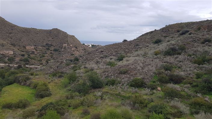 Image No.4-7 Bed Country House for sale