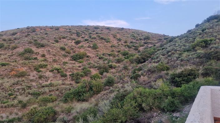 Image No.5-7 Bed Country House for sale