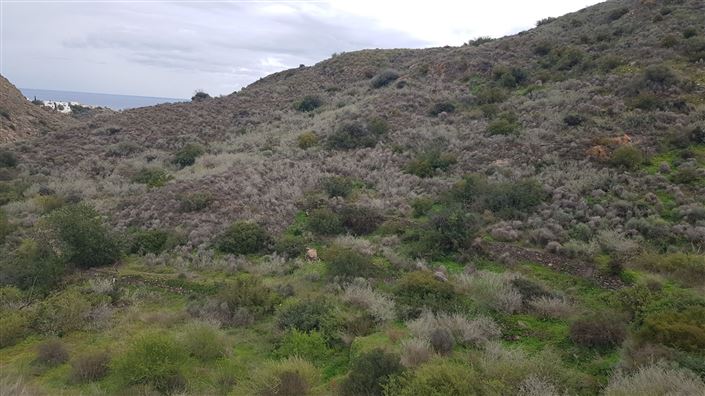 Image No.6-7 Bed Country House for sale