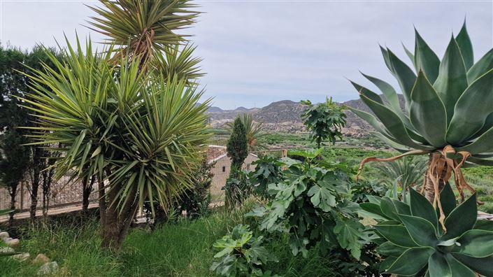 Image No.35-4 Bed Villa for sale