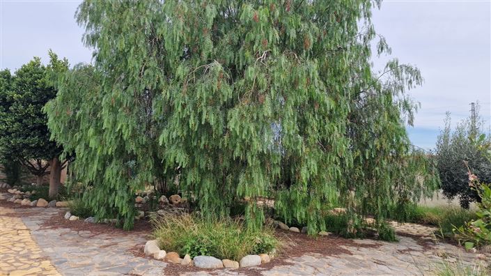 Image No.44-4 Bed Villa for sale