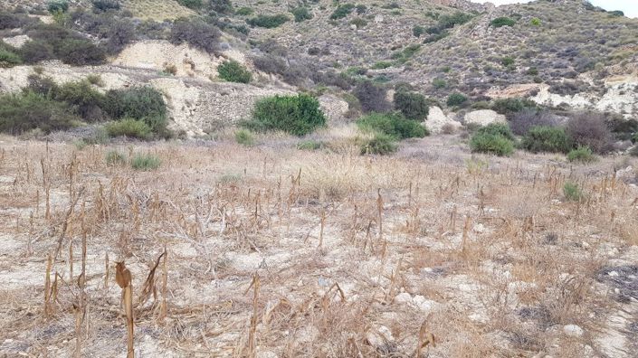 Image No.10-Property for sale