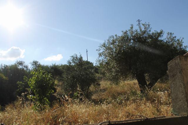 Image No.4-1 Bed House/Villa for sale