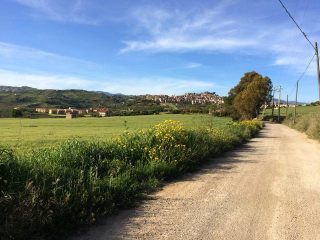 Image No.3-2 Bed Villa for sale