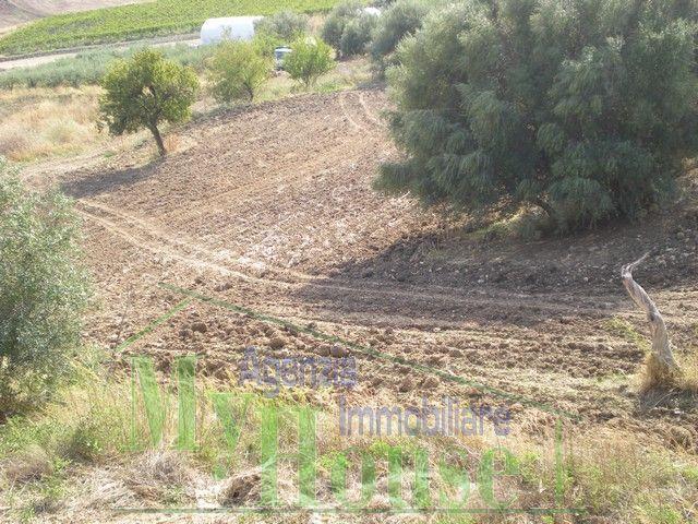 Image No.3-3 Bed Villa for sale