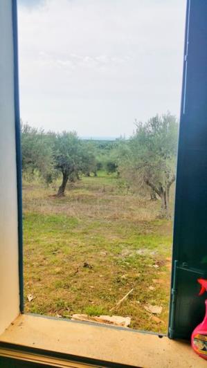 Image No.19-1 Bed Villa for sale