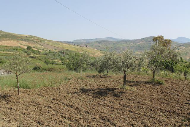 Image No.3-2 Bed Country House for sale