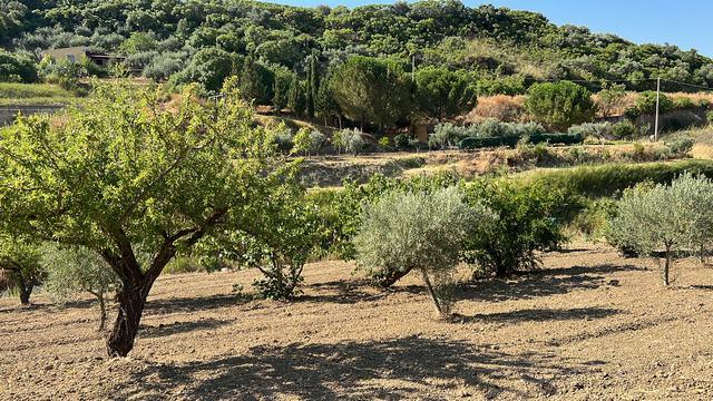 Image No.2-2 Bed Villa for sale