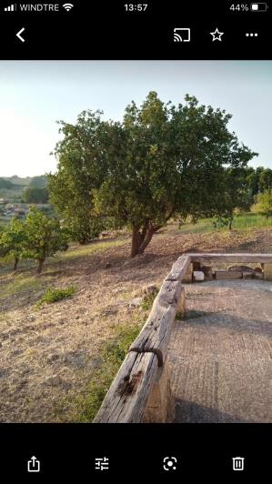 Image No.7-2 Bed Villa for sale