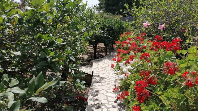 Image No.60-4 Bed Villa for sale