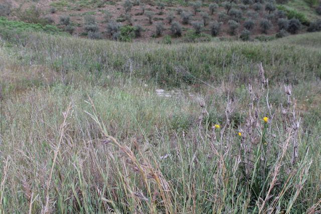 Image No.2-Land for sale