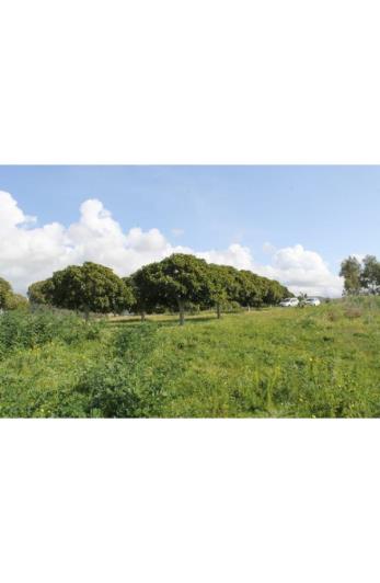 Image No.4-Land for sale