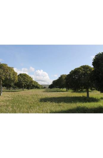 Image No.5-Land for sale