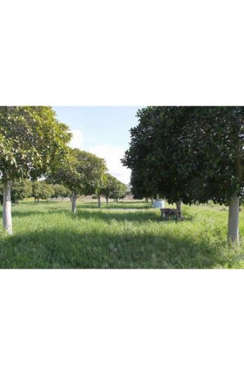 Image No.10-Land for sale