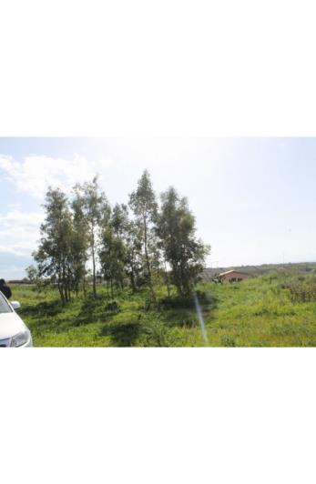 Image No.11-Land for sale