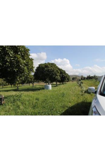 Image No.13-Land for sale