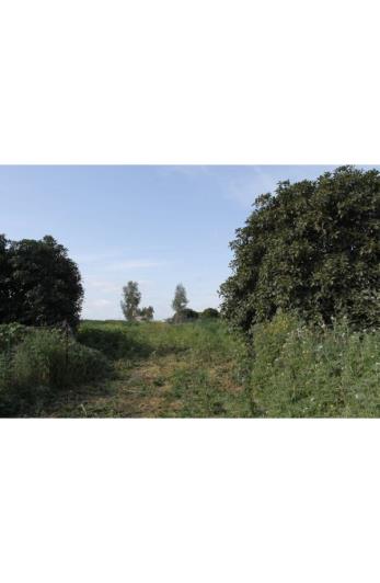 Image No.16-Land for sale