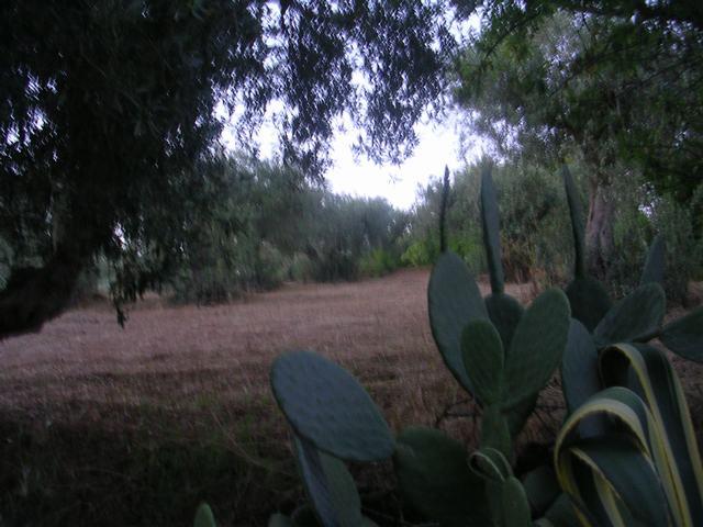 Image No.2-1 Bed Country House for sale