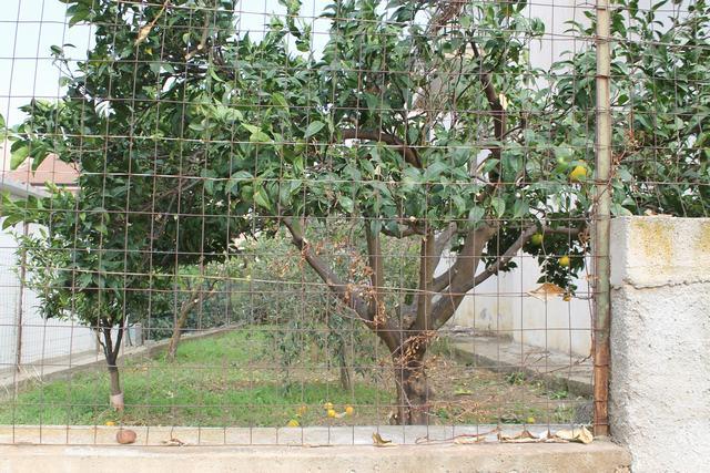 Image No.9-4 Bed House for sale