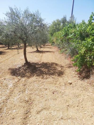 Image No.2-3 Bed Villa for sale