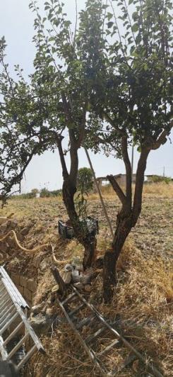 Image No.4-2 Bed Villa for sale