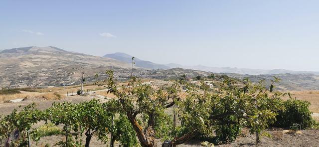 Image No.9-2 Bed Villa for sale