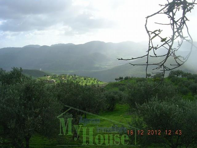 Image No.8-1 Bed Country House for sale