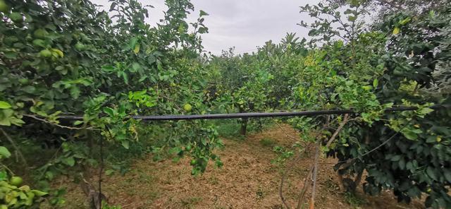 Image No.17-4 Bed Villa for sale