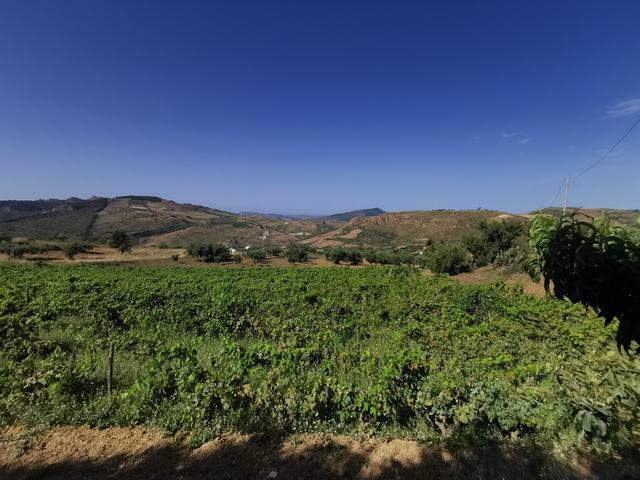 Image No.8-2 Bed Villa for sale