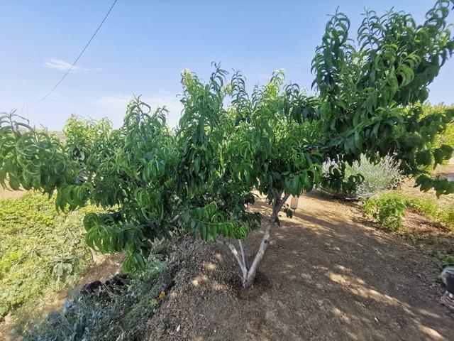 Image No.11-2 Bed Villa for sale