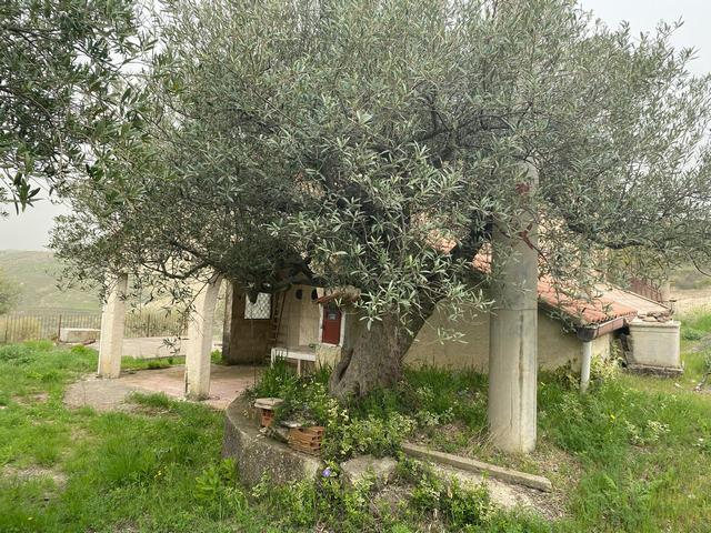 Image No.20-1 Bed Country House for sale