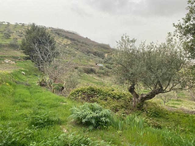 Image No.22-1 Bed Country House for sale