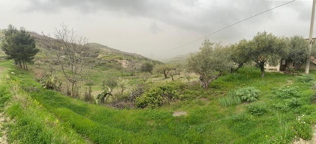 Image No.24-1 Bed Country House for sale