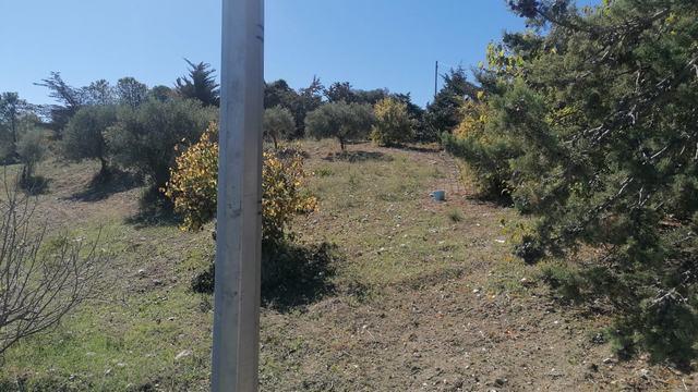 Image No.7-1 Bed Villa for sale