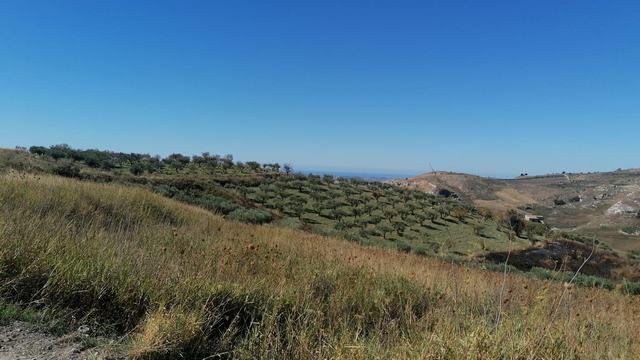 Image No.14-1 Bed Villa for sale