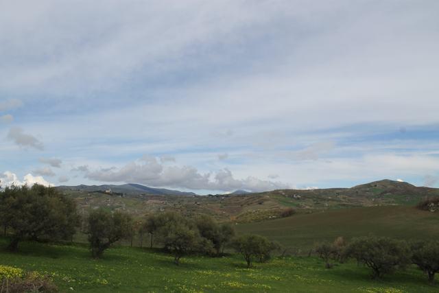 Image No.8-1 Bed Country House for sale