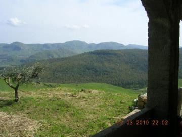 DSCN4287