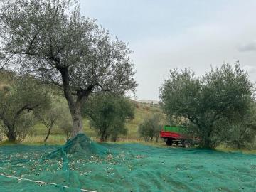 455e0820-5e7b-45cb-981c-a6d91cfee97d